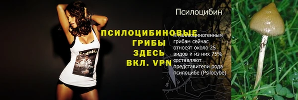 мяу мяу мука Алзамай
