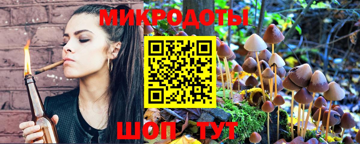 Архангельск  Псилоцибиновые грибы Psilocybine cubensis  Вход с VPN 