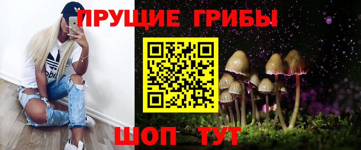 Галлюциногенные грибы прущие грибы Архангельск